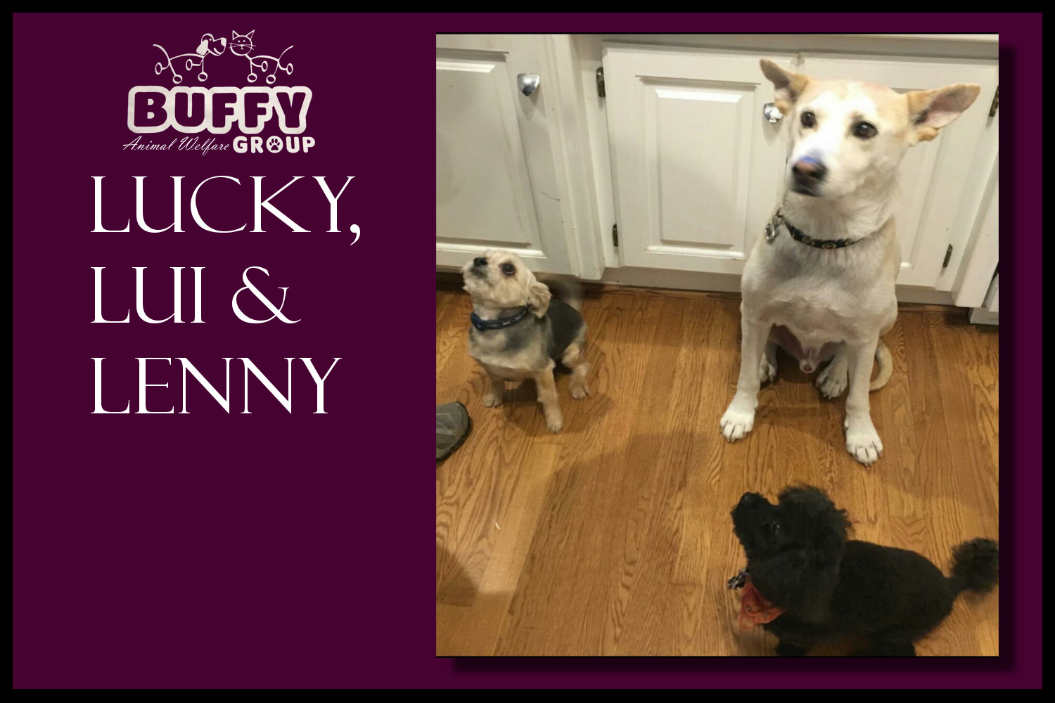 Lucky, Lui & Lenny